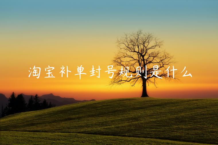 淘寶補(bǔ)單封號規(guī)則是什么